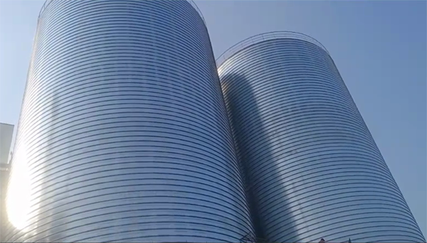 乐东2座混凝土高架卷板仓